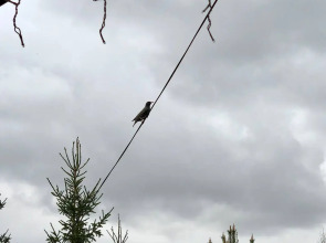 Гостевой дом Эко-отель Шанти