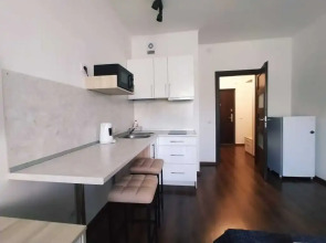 Апартаменты на Торфяной дороге