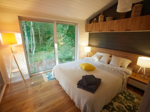 Частный дом Большая Репинская дача в лесу