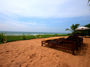 Отель Temple Tree Resort & Spa