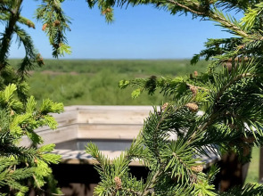 Гостевой Дом Ель