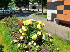 Апартаменты на Петроградке