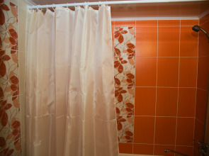 Апартаменты Рыжий Кот возле Парка