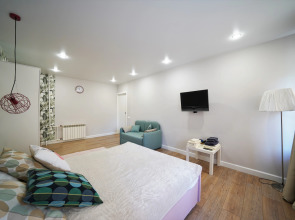 Апартаменты Ligovka Street