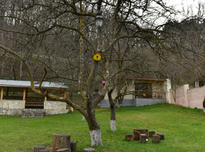 Отель Green Wood