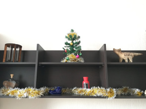 Apart Дом Стрелки вид на город у ж/д вокзала