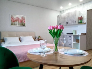 Апартаменты Студия Люкс