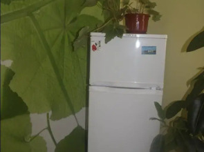 Хостел Подсолнух