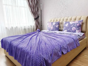 Апартаменты Like Home в центре города