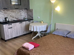 Квартира Уютная рядом с НИИ Петрова, Напалкова, Гранова