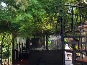 Гостевой дом Селена