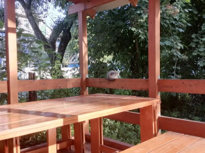 Гостевой дом Хижина