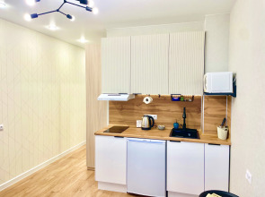 Квартира Студия на Ленина