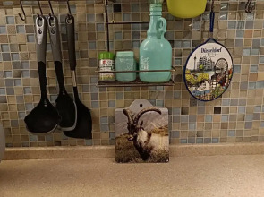 Квартира Уютная двухкомнатная с кондиционером Эрмитаж