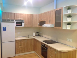 Апартаменты Apartmet on Chapaeva Ecostyle