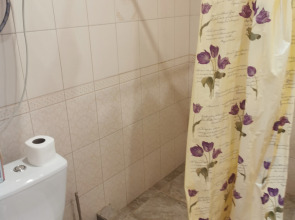 Гостевой дом Большой гостевой дом Ореховая роща