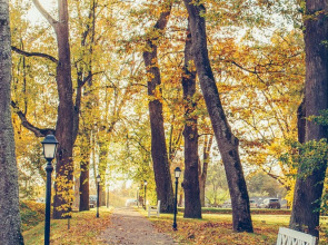 Мини-Отель Имение Алтунъ