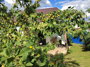 Частный Дом на Улице Черёмушки 25