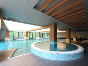 Отель Borjomi Likani