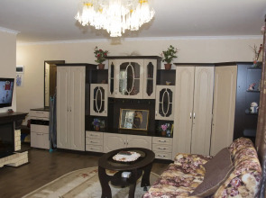 Апартаменты Елизаровых 45