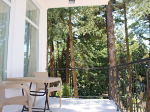 Отель Nine Brothers