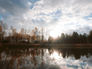 База отдыха Berloga Country Resort