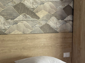 Гостевые дома Шишка