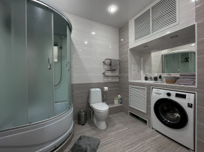 Квартира Green FOX двухкомнатная с евроремонтом