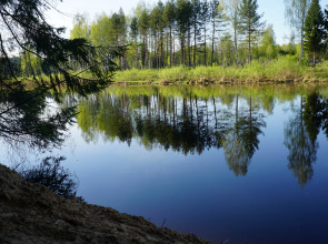 База отдыха Орша Ривер Клаб