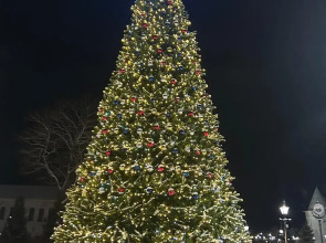 Частный дом Городская усадьба Ростов Великий