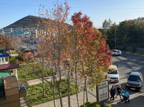 Апартаменты Созвездие Камчатки на Тушканова 2