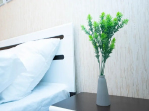 Апартаменты Cosmos Apart на Революции 52 В (2)