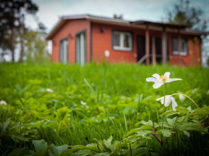 Гостевой дом ЕдунеЕду — дачи в аренду