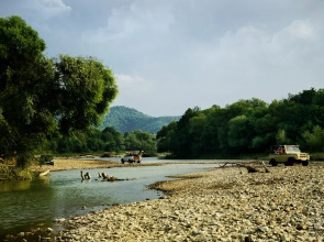 База отдыха Дубрава