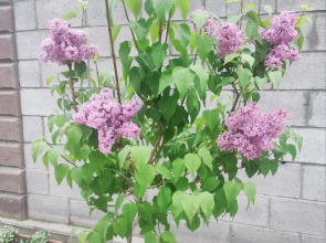 Частный Дом Комфортный Дом до 4 Человек