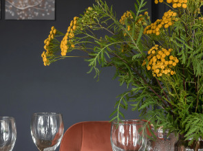 Частный дом Клен