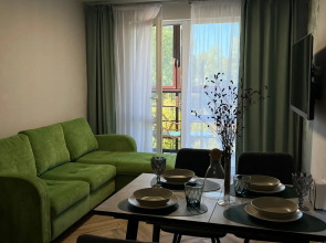 Квартира Ёлки зелёные в тихом центре Петрозаводска