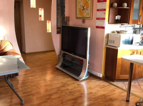 Апартаменты Spacious central 3-room apartment