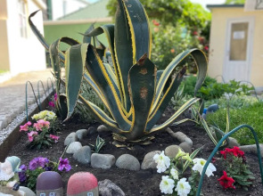 Гостевой Дом Agave