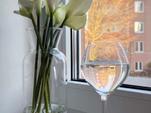 Квартира в центре у озера