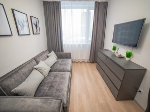 Апартаменты Гагарина 9 Серая