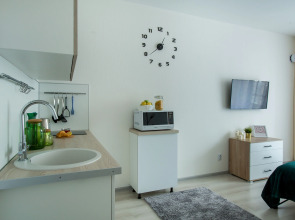 Апартаменты Griffin Apart на Комендантском