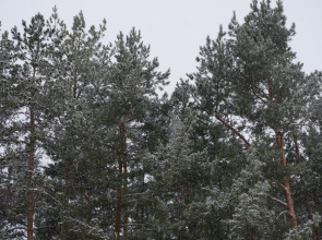 База Отдыха Черкасский Затон
