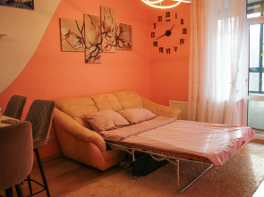 Квартира Евро-однушка в ЖК Родник