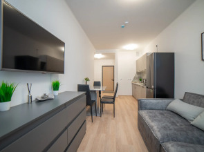 Апартаменты Гагарина 9 Серая