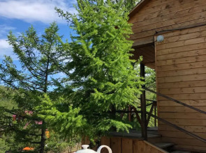 Шале Мандархан VIEW