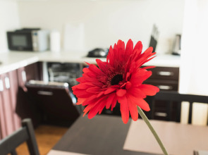 Апартаменты Kominterna Lux