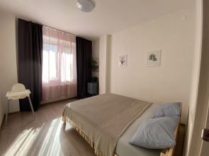 Квартира двухкомнатная (57кв.)  рядом с Зоо, ИжГТУ, Купол Семейная Botanika House