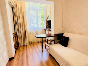 Квартира в Центре Курортной Зоны