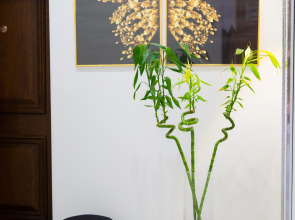 Апартаменты в Резиденции у моря